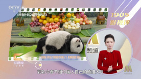 国产美女精品自拍